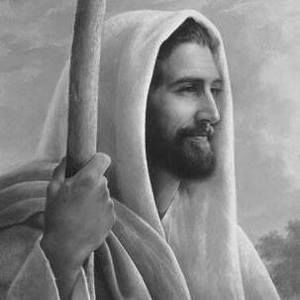 Meet your Posher, Doost